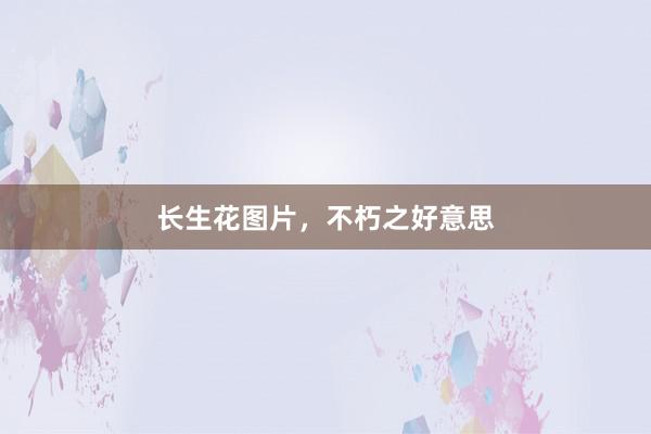 长生花图片，不朽之好意思
