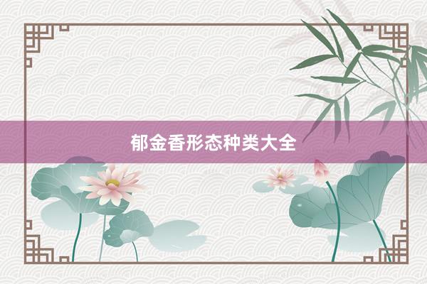 郁金香形态种类大全