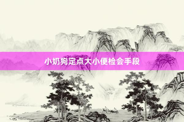 小奶狗定点大小便检会手段