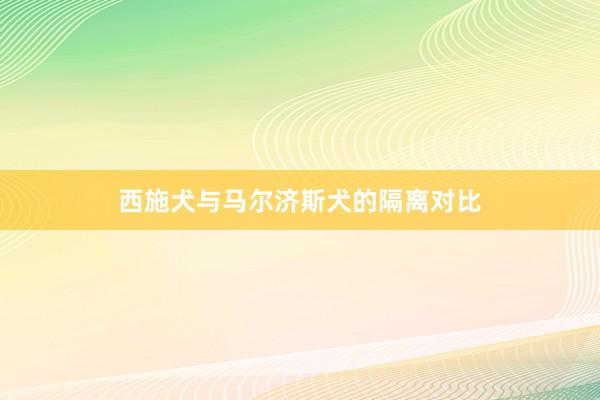 西施犬与马尔济斯犬的隔离对比